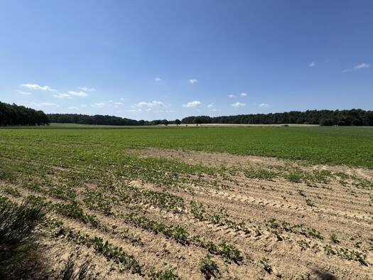 Land-/Forstwirtschaft zum Kauf 112.000 € 49.930 m² Grundstück Riskau Dannenberg 29451