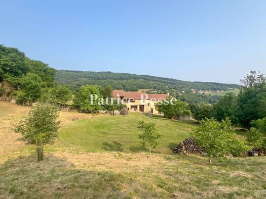 Bauernhaus zum Kauf 465.000 € 7 Zimmer 220 m² 5.905 m² Grundstück Vergisson 71960