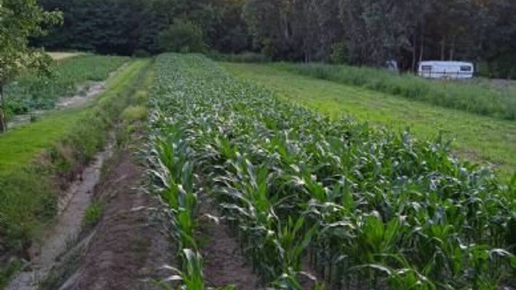 Grundstück zum Kauf 22.000 € 942 m² Grundstück Szölösgyörök 8692