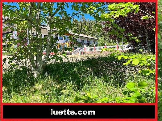 Mehrfamilienhaus zum Kauf 990.000 € 17 Zimmer 750 m² 2.700 m² Grundstück Höchenschwand Höchenschwand 79862