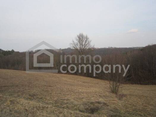 Grundstück zum Kauf 99.000 € 4.560 m² Grundstück Jennersdorf 8380