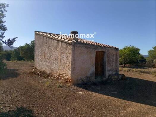 Acker-/Waldstück zum Kauf 33.000 € Xerta 43592