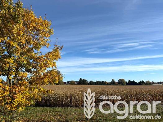 Land-/Forstwirtschaft zum Kauf 60.000 € 54.514 m² Grundstück Mildenberg Zehdenick / Mildenberg 16792