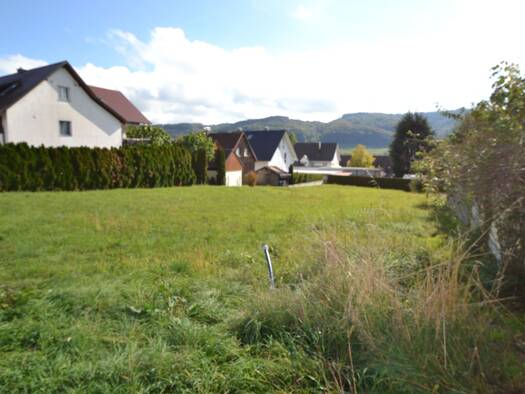 Grundstück zum Kauf 1.250.000 € 1.355 m² Grundstück Wangen Öhningen 78337