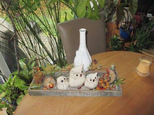 Wohnung zur Miete 410 € 2 Zimmer 53 m² EG frei ab sofort Scheibe Weiden in der Oberpfalz 92637