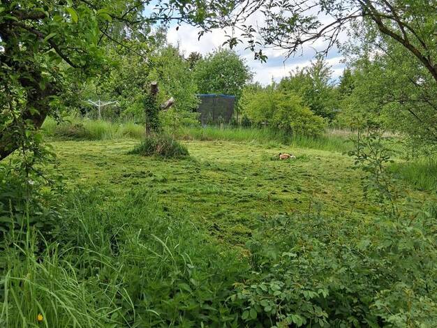 Doppelhaushälfte zum Kauf 128.000 € 3 Zimmer 61 m² 676 m² Grundstück Innenstadt Hof 95032