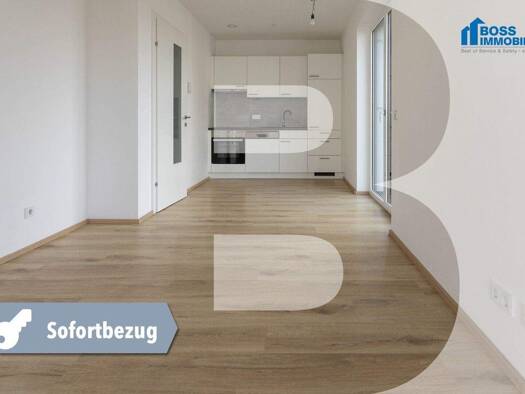 Wohnung zur Miete 458 € 2 Zimmer 41,9 m² 1. Geschoss Urnenhainweg 1a Traun 4050