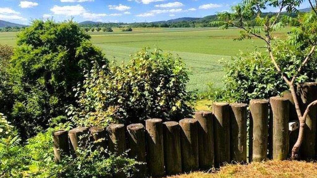 Mehrfamilienhaus zum Kauf 2.485.000 € 18 Zimmer 720 m² 2.300 m² Grundstück Liederbach Liederbach am Taunus 65835