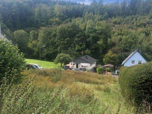 Grundstück zum Kauf 65.000 € 808 m² Grundstück Betzdorf 57518