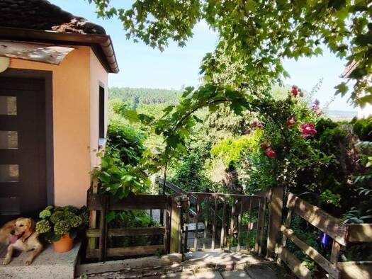 Einfamilienhaus zum Kauf provisionsfrei 339.000 € 5 Zimmer 141 m² 1.039 m² Grundstück frei ab 01.01.2027 Steinbach 11 Steinbach Herrieden 91567