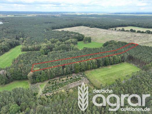 Land-/Forstwirtschaft zum Kauf 5.600 € 7.940 m² Grundstück Deutschbaselitz Kamenz 01917