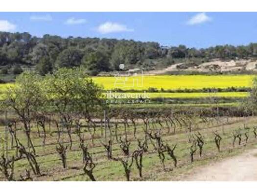 Chalet zum Kauf 10.400.000 € 7 Zimmer 515 m² Sant Joan de Labritja 07812