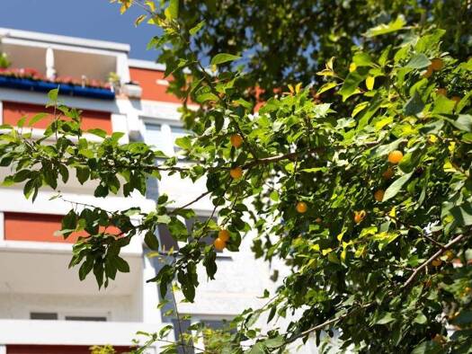 Wohnung zur Miete 624 € 6 Zimmer 112,1 m² 4. Geschoss Hanoier Straße 45 Silberhöhe Halle (Saale) 06132