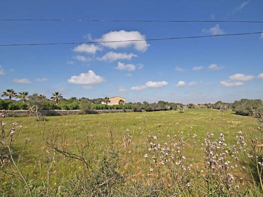 Grundstück zum Kauf provisionsfrei 499.000 € 14.021 m² Grundstück Baugenehmigung vorhanden frei ab sofort Cami Cala Salmonia santanyi 07650