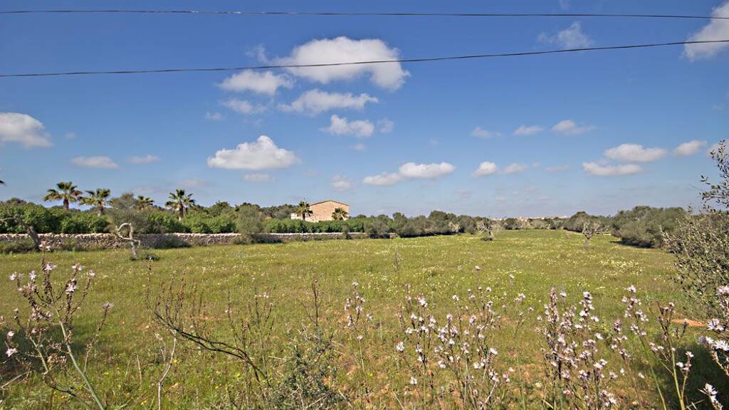 Grundstück zum Kauf provisionsfrei 499.000 € 14.021 m² Grundstück Baugenehmigung vorhanden frei ab sofort Cami Cala Salmonia santanyi 07650