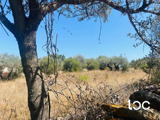 Grundstück zum Kauf 90.000 € 880 m² Grundstück Cagliari
