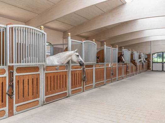 Reiterhof zum Kauf 8.500.000 CHF 32.000 m² Grundstück Sirnach 8370
