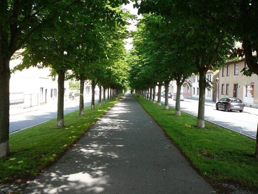 Wohnung zur Miete 675 € 3,5 Zimmer 103,1 m² 2. Geschoss Ballenstedt Ballenstedt 06493