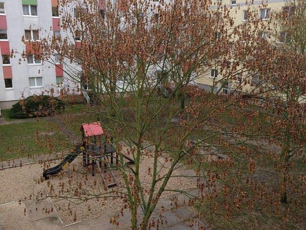 Wohnung zur Miete 450 € 3 Zimmer 60 m² EG Wehrmannstraße 5 Gohlis-Nord Leipzig 04157