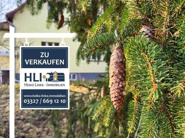 Einfamilienhaus zum Kauf 539.000 € 5 Zimmer 162 m² 1.677 m² Grundstück frei ab sofort Falkensee 14612