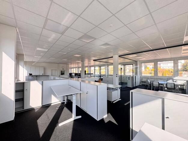 Bürofläche zur Miete 3.920 € 490 m² Bürofläche Obernburg Obernburg a.Main 63785