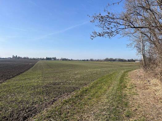 Land-/Forstwirtschaft zum Kauf 275.550 € 11.022 m² Grundstück Ismaning 85737