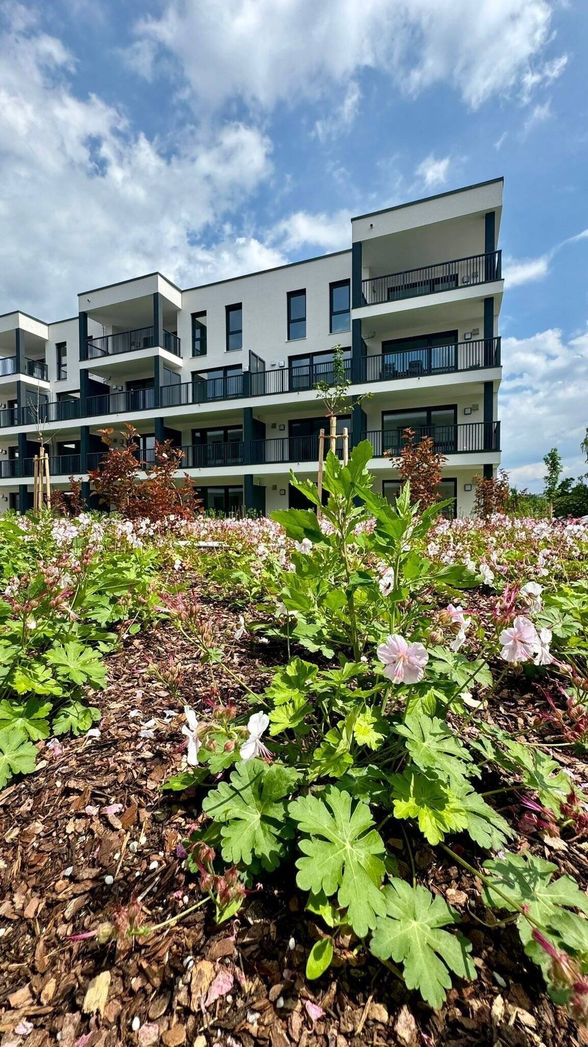 Neubau-Mietwohnungen in 93133 Burglengenfeld "Spitalgärten", teilmöbliert mit Südwest-Terrasse und privatem Garten – Dr.-Kurt-Schumacher-Straße 13a, 93133 Burglengenfeld – Vorschaubild 6