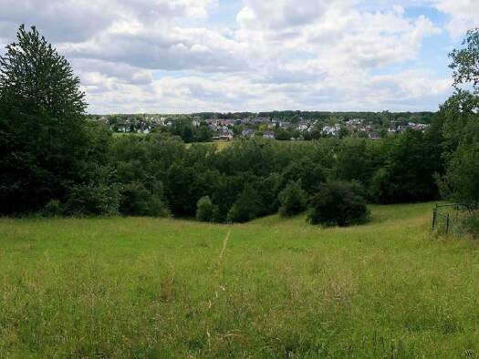 Grundstück zum Kauf 720.000 € 1.034 m² Grundstück Ippendorf Bonn 53127