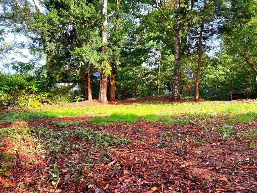 Grundstück zum Kauf 550.000 € 792 m² Grundstück Eidelstedt Hamburg 22523