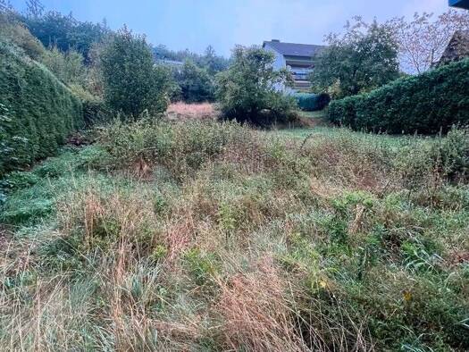 Grundstück zum Kauf 129.000 € 660 m² Grundstück Grissenbach Netphen 57250