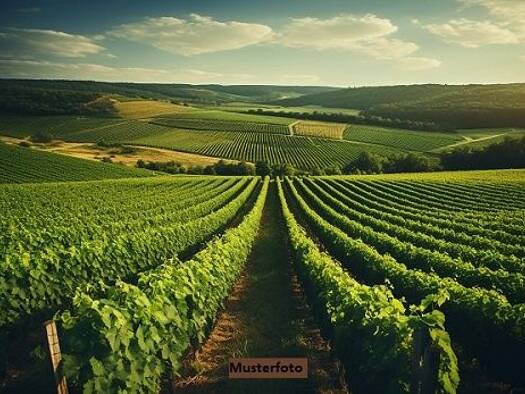 Produktionshalle zum Kauf als Kapitalanlage geeignet 5.240.000 € 5.819 m² Grundstück Obere Hauptstraße Gols 7122