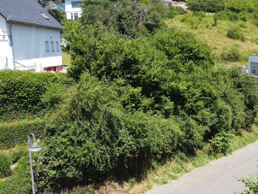 Grundstück zum Kauf 87.000 € 542 m² Grundstück Waldrach 54320