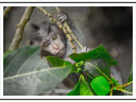 Terrassenwohnung zur Miete 719 € 2 Zimmer 62,1 m² 1. Geschoss frei ab sofort Groß-Berliner-Damm 27 Johannisthal Berlin 12487