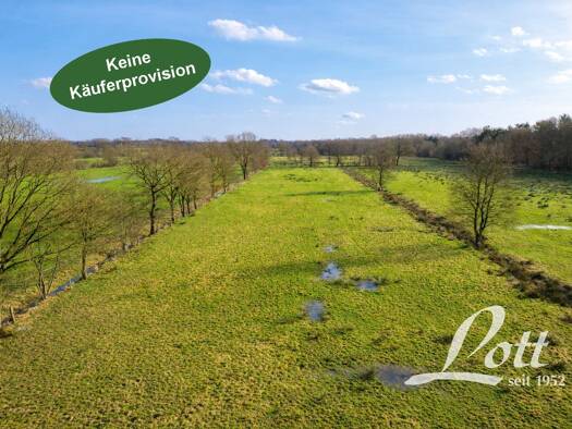 Land-/Forstwirtschaft zum Kauf 36.900 € 11.128 m² Grundstück Bokelermoor Apen / Bokelermoor 26689