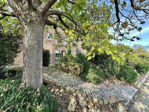 Bürogebäude zur Miete provisionsfrei 623 € 70 m² Bürofläche Großbüllesheim Euskirchen 53881