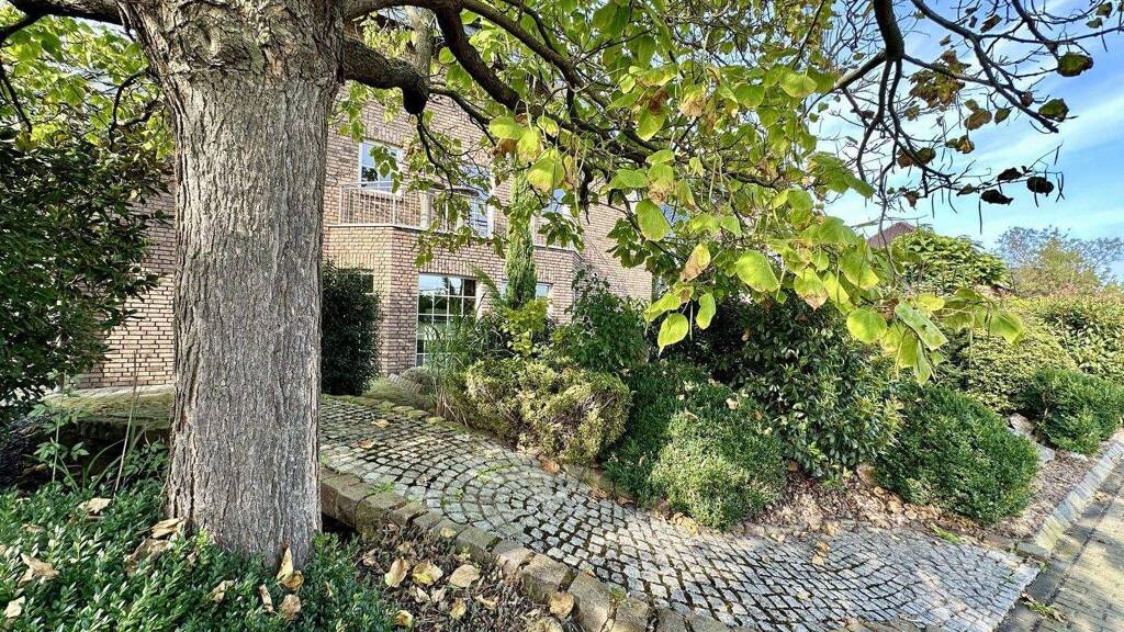 Bürogebäude zur Miete provisionsfrei 623 € 70 m² Bürofläche Großbüllesheim Euskirchen 53881