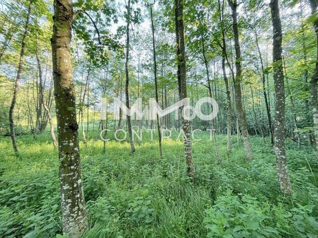 Land-/Forstwirtschaft zum Kauf 30.000 € 6.938 m² Grundstück Ardagger Stift 3321