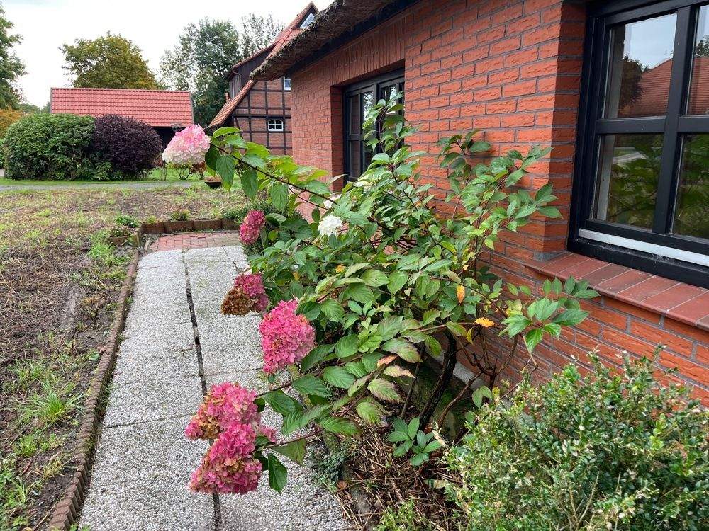 Einfamilienhaus zum Kauf - Mehr