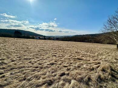 Freizeitgrundstück zum Kauf 2.936 m² Grundstück Plaue Plaue 99338