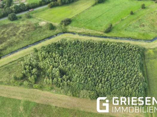Land-/Forstwirtschaft zum Kauf 46.750 € 17.515 m² Grundstück Haren Haren (Ems) 49733