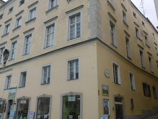 Wohnung zur Miete 380 € 1 Zimmer 29 m² EG frei ab sofort Steinweg 13 Altstadt Passau 94032