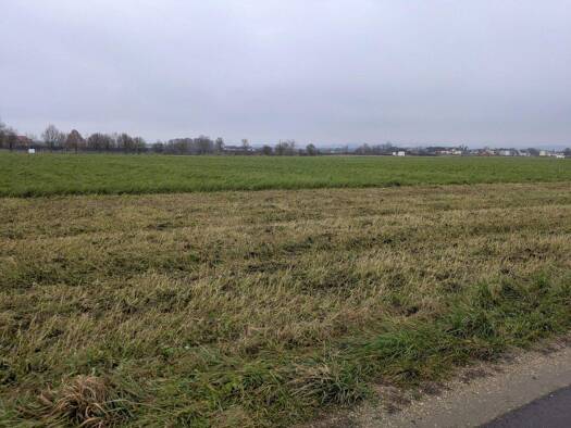 Land-/Forstwirtschaft zum Kauf provisionsfrei 210.000 € 10.000 m² Grundstück Mitterkirchen 4343