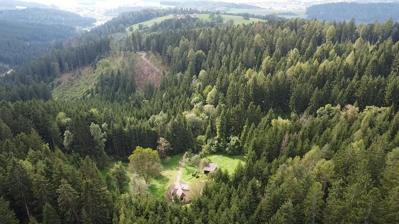 Land-/Forstwirtschaft zum Kauf 300.000 € 42.703 m²<br/>Grundstück Guttaring 9334