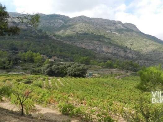 Grundstück zum Kauf provisionsfrei 325.000 € 35.000 m² Grundstück Jalón 03727