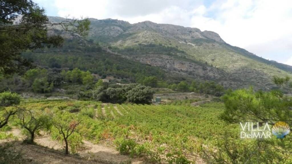 Grundstück zum Kauf provisionsfrei 325.000 € 35.000 m² Grundstück Jalón 03727