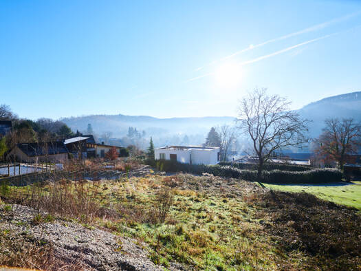 Grundstück zum Kauf 250.000 € 885 m² Grundstück Detmold / Berlebeck 32760