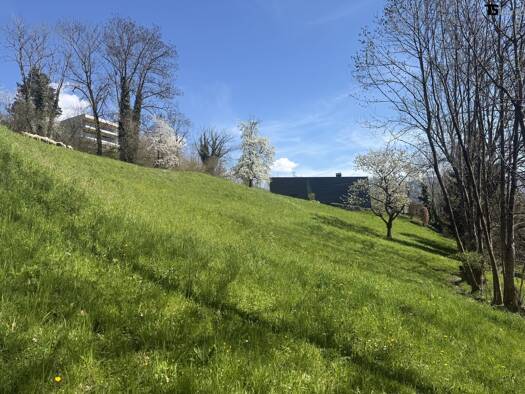 Grundstück zum Kauf 835 m² Grundstück Klaus 6833