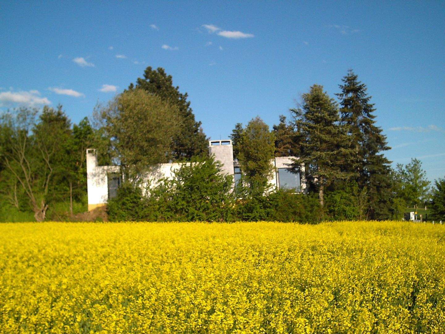 Immobilie in Porta Westfalica - Architektonisches Juwel im Grünen: Großzügiges Atriumhaus mit Innengarten – Ein Traum für Handwerker! - Bild 0