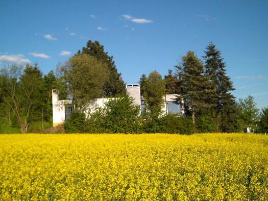 Einfamilienhaus zum Kauf 319.000 € 6 Zimmer 260 m² 600 m² Grundstück frei ab sofort Bornholzweg 77 Holzhausen Porta Westfalica 32457