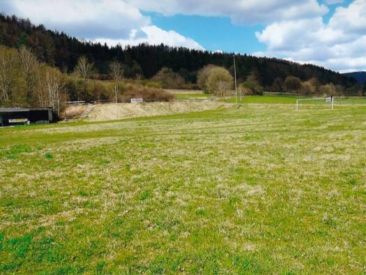 Freizeitgrundstück zum Kauf 19.000 € 3.722 m² Grundstück Grümpen Frankenblick 96528